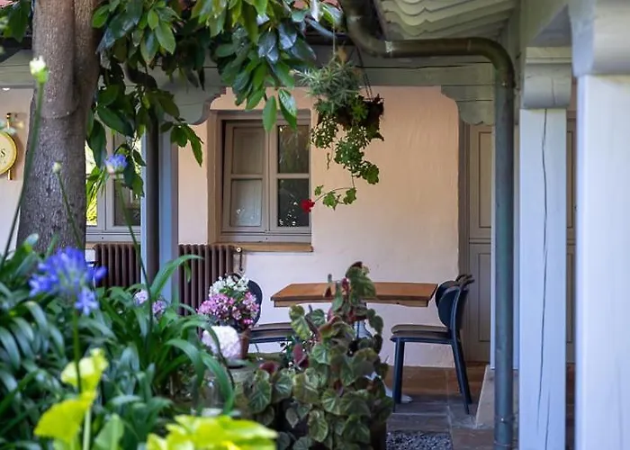 Hotel Casona Cinco Calderas Galizano